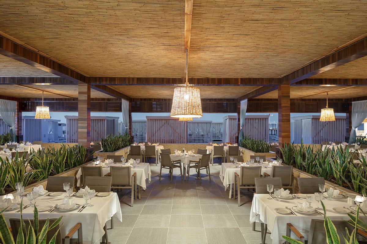 Nirvana Cosmopolitan