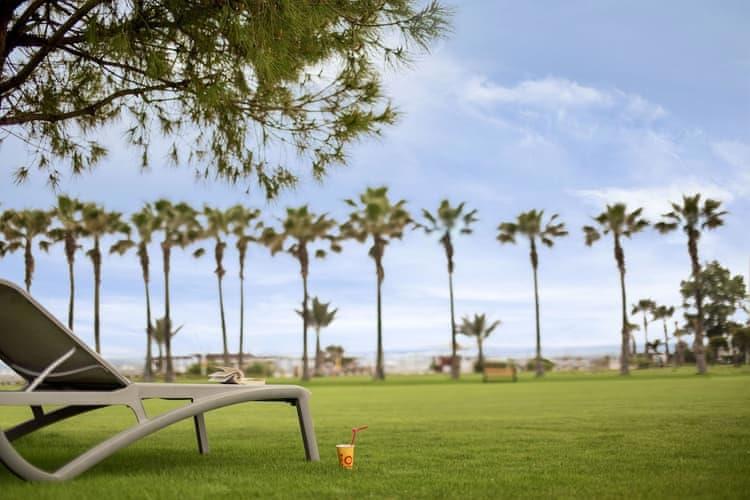 Lara Barut Collection