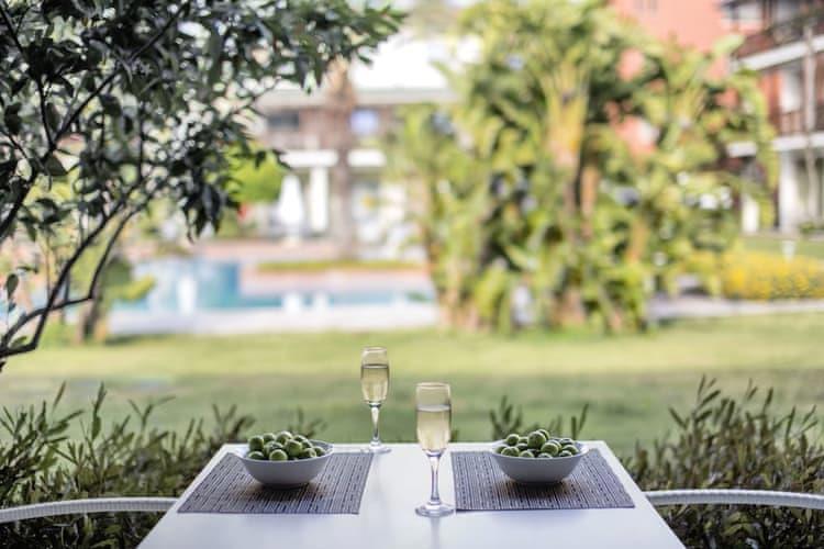 Lara Barut Collection