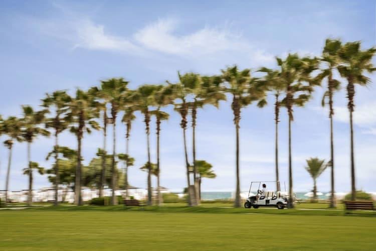 Lara Barut Collection