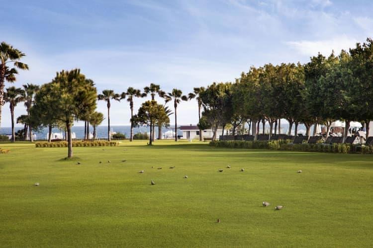 Lara Barut Collection