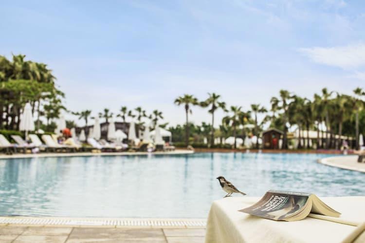 Lara Barut Collection