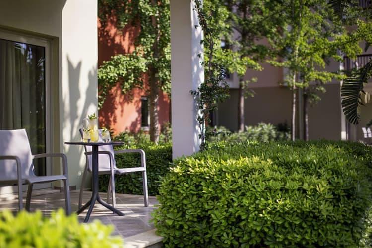 Lara Barut Collection