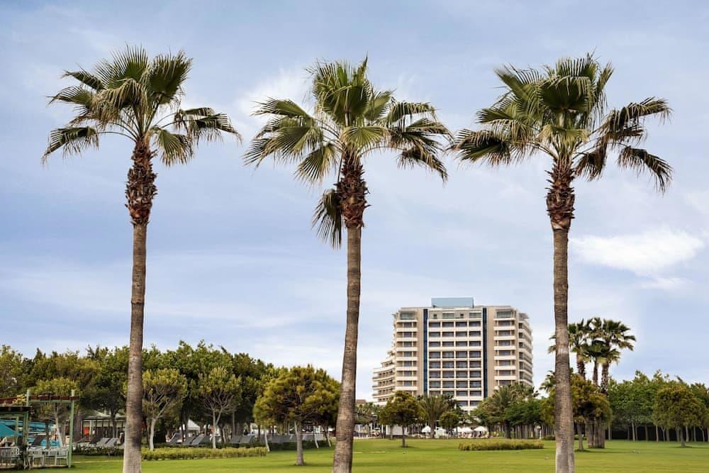 Lara Barut Collection