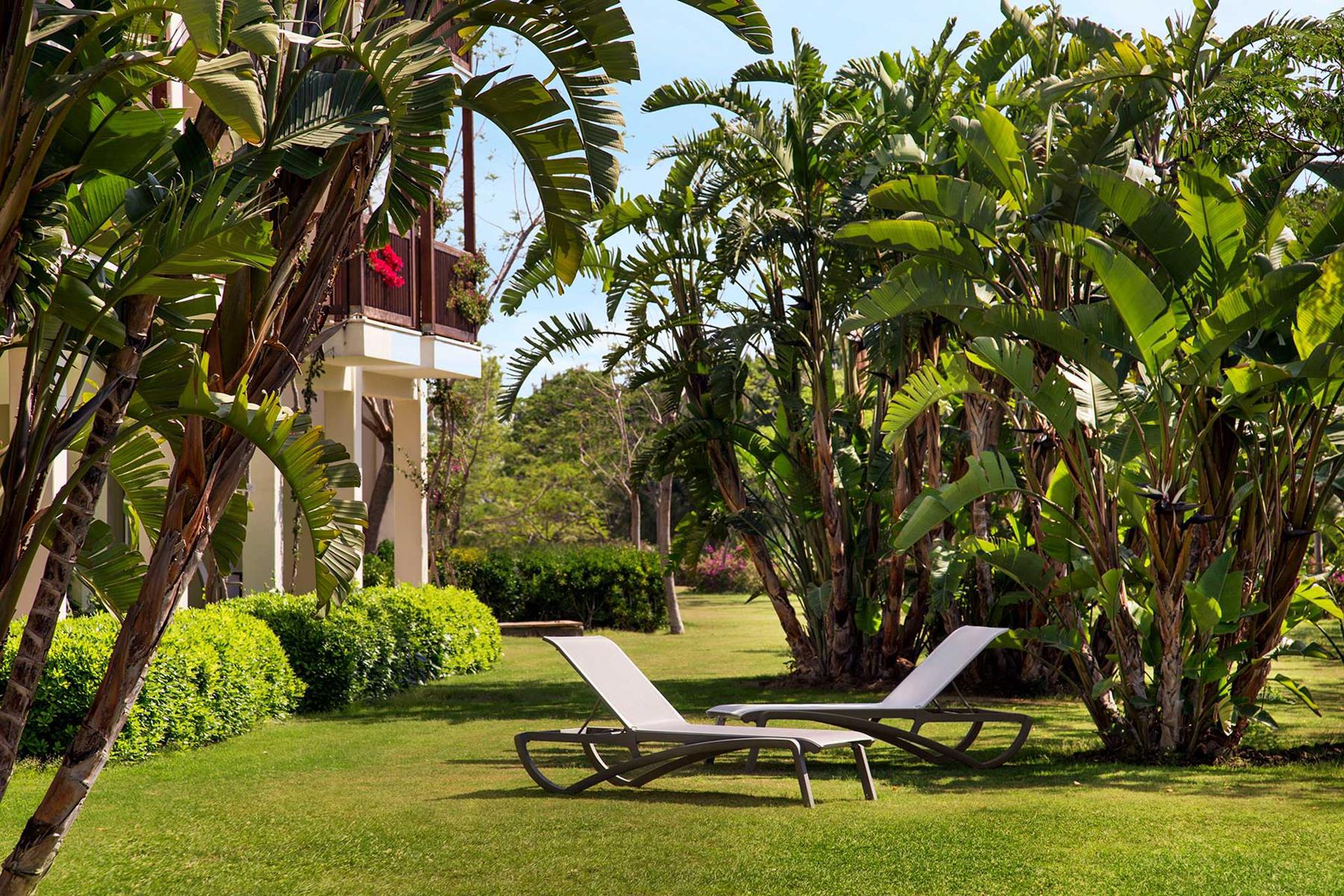 Lara Barut Collection