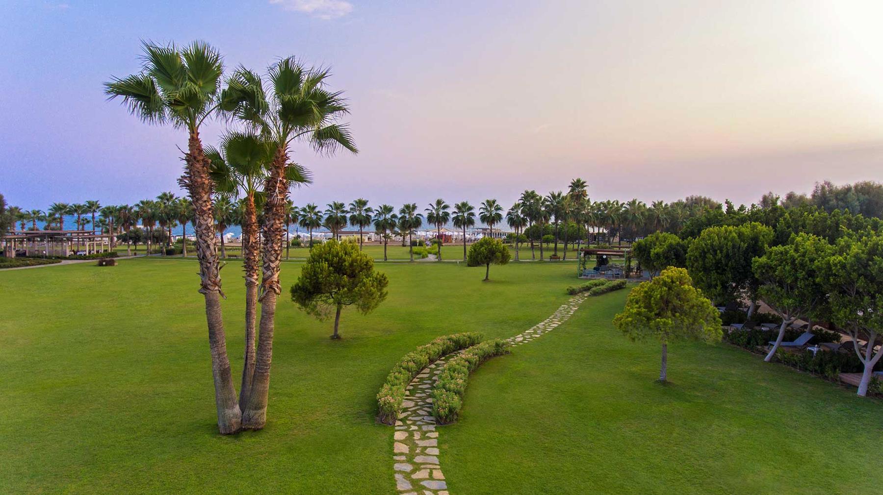 Lara Barut Collection