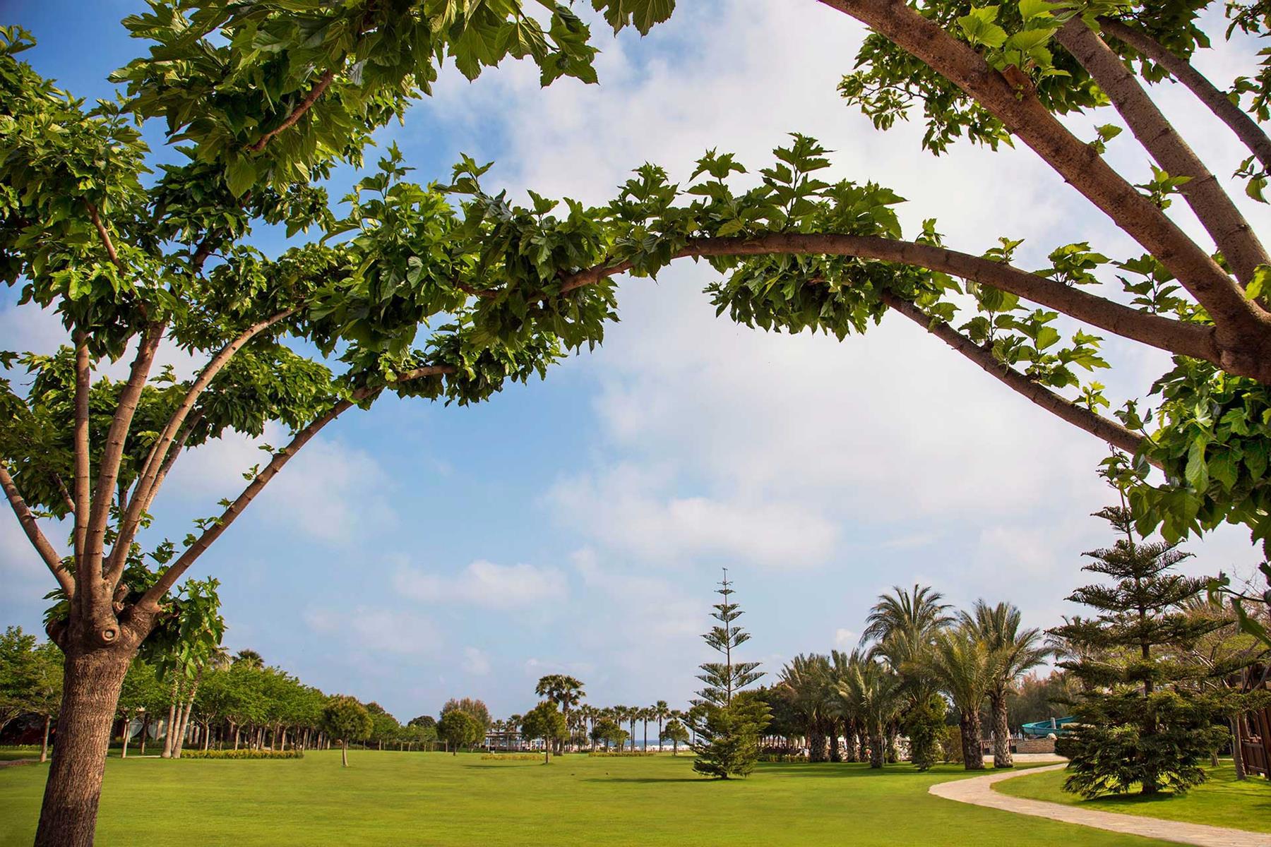 Lara Barut Collection