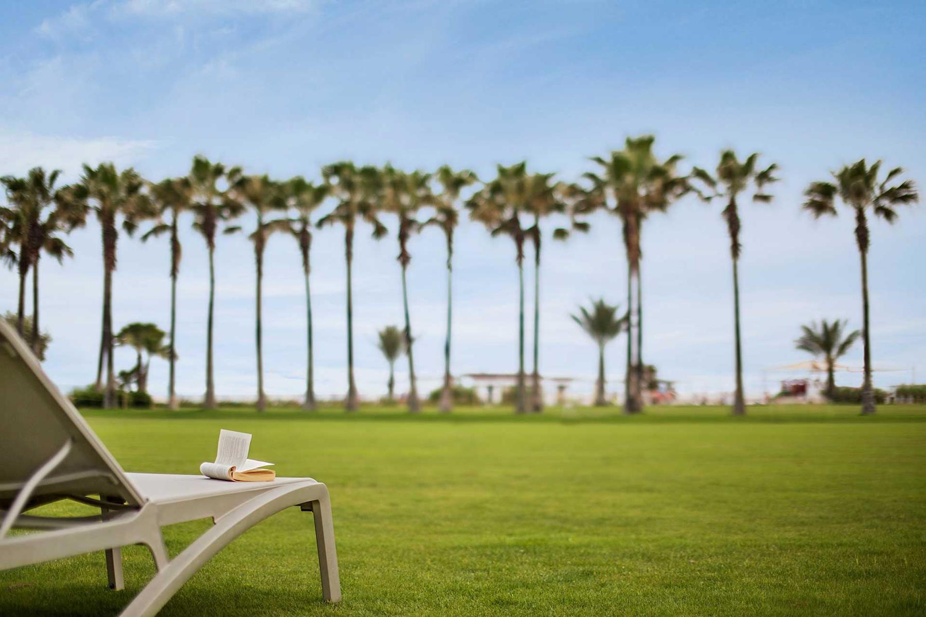 Lara Barut Collection