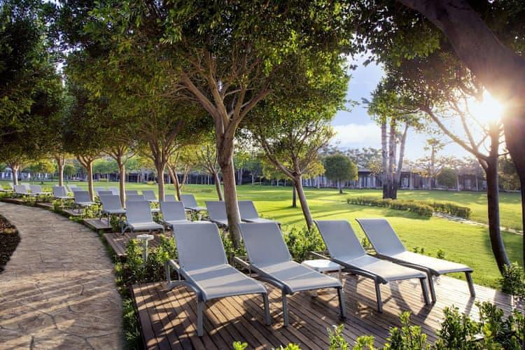 Lara Barut Collection