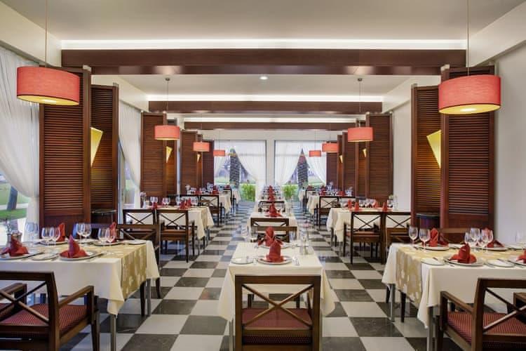 Lara Barut Collection