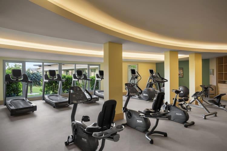 Lara Barut Collection