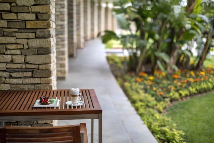 Lara Barut Collection