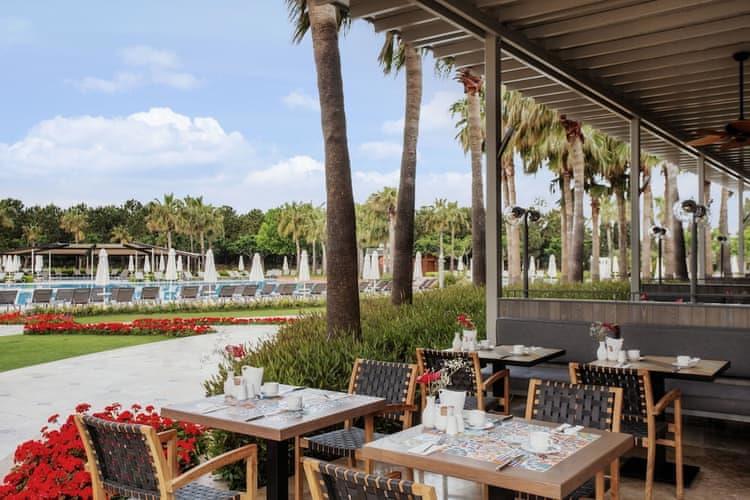 Lara Barut Collection