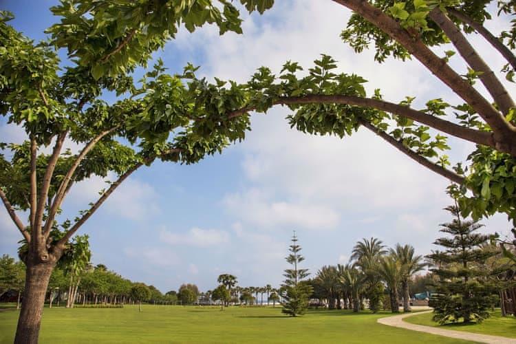 Lara Barut Collection