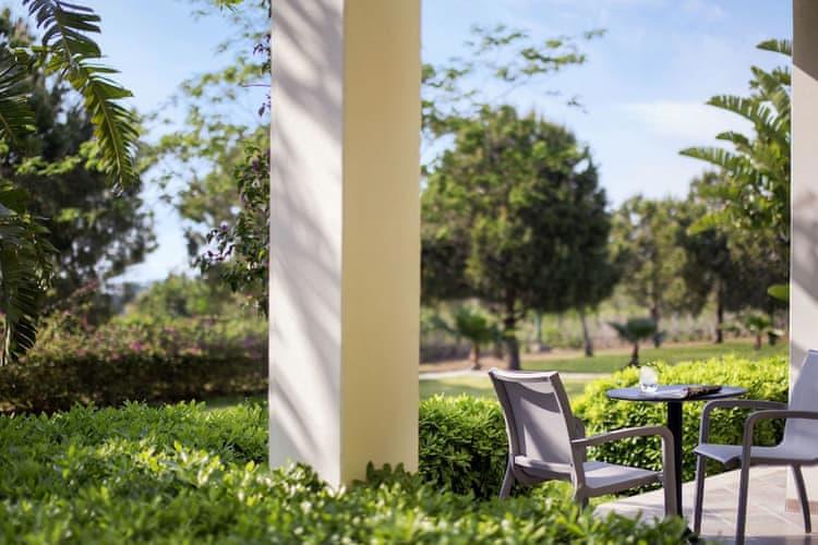 Lara Barut Collection