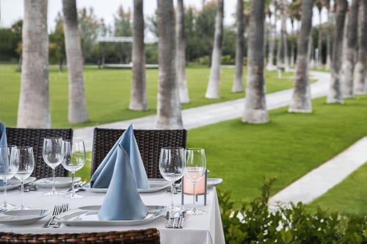 Lara Barut Collection