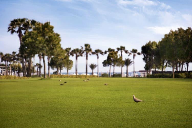 Lara Barut Collection