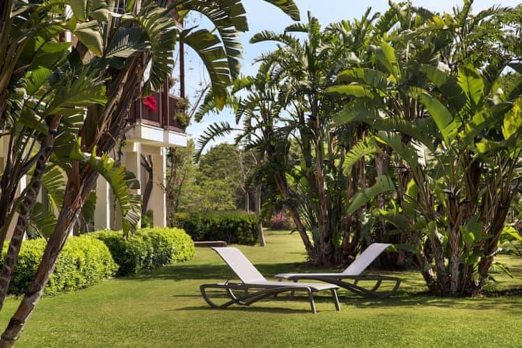 Lara Barut Collection