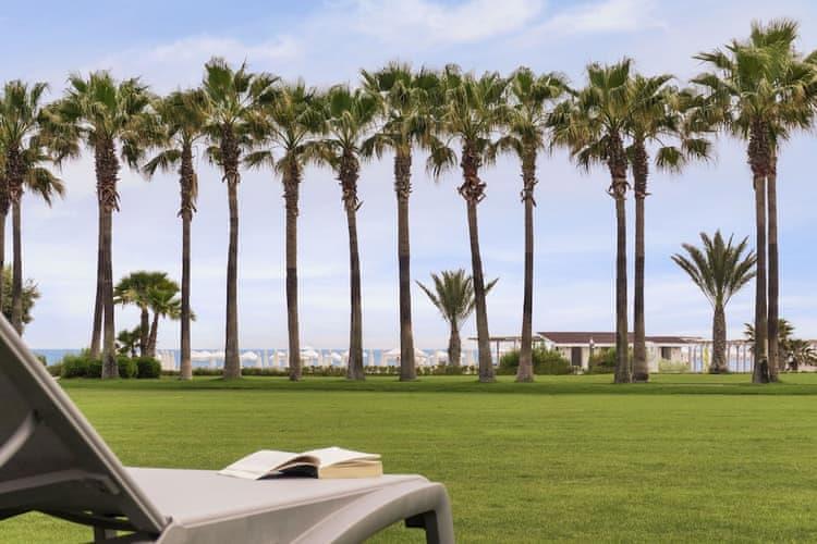 Lara Barut Collection