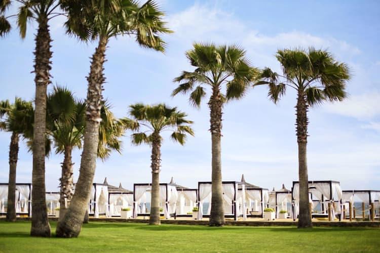 Lara Barut Collection