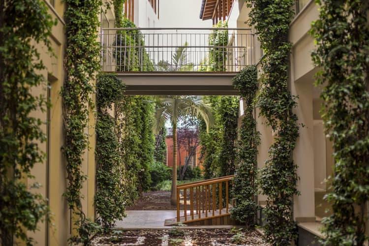 Lara Barut Collection