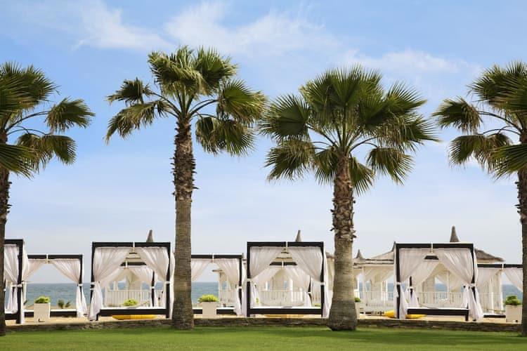 Lara Barut Collection