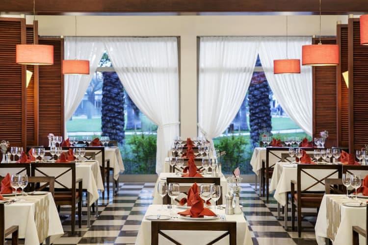 Lara Barut Collection