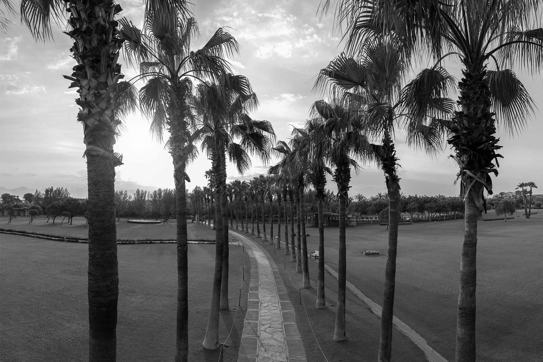 Lara Barut Collection