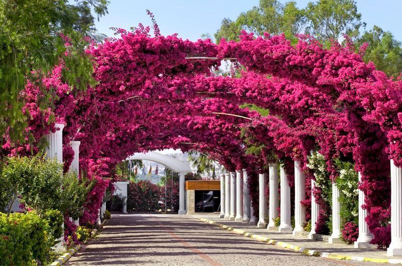 Kadikale Resort Spa & Wellness