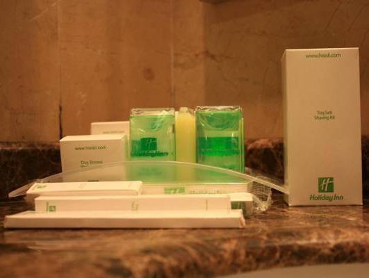 Holiday Inn Istanbul - Sisli