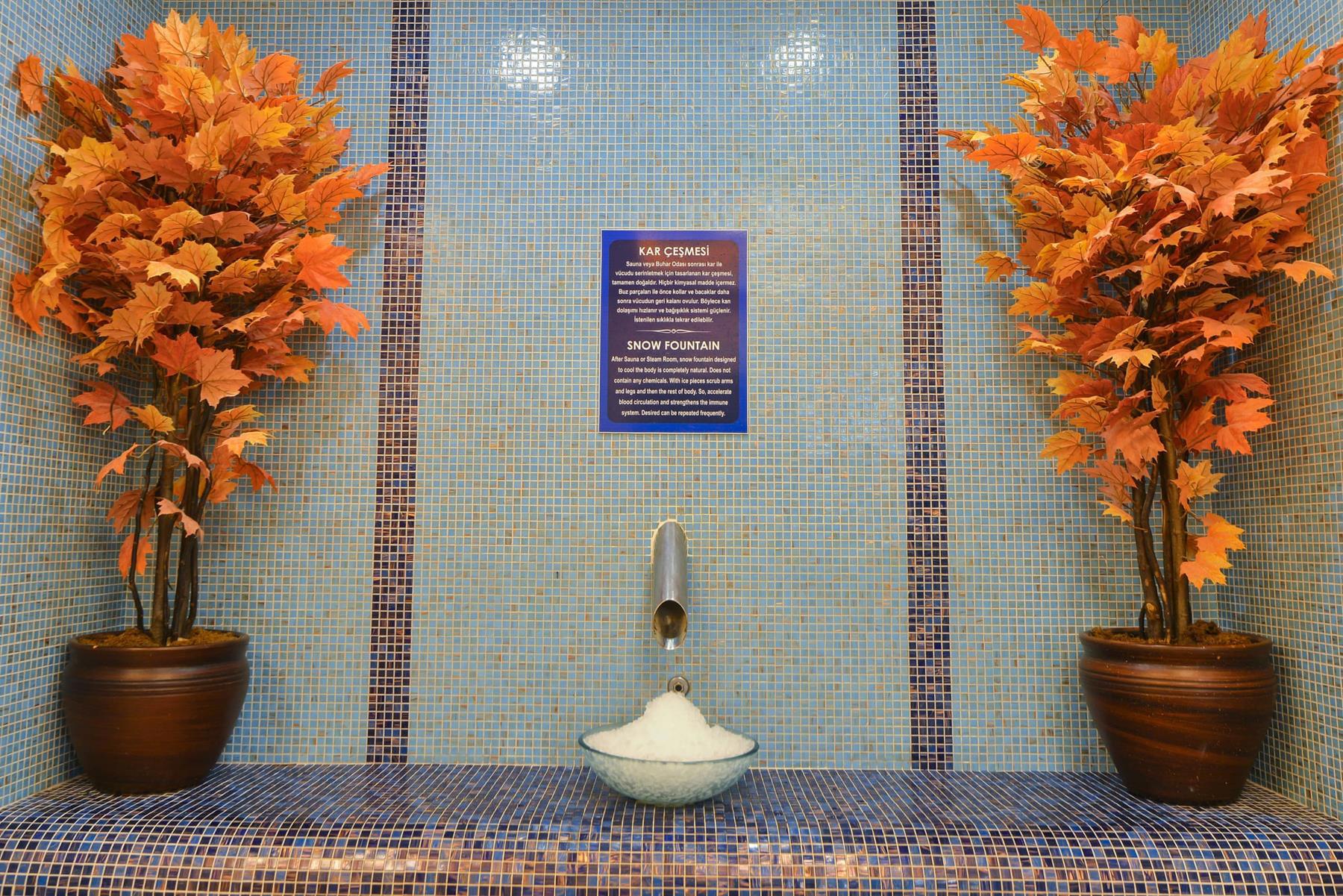 Grand Özgül Thermal Holiday Village