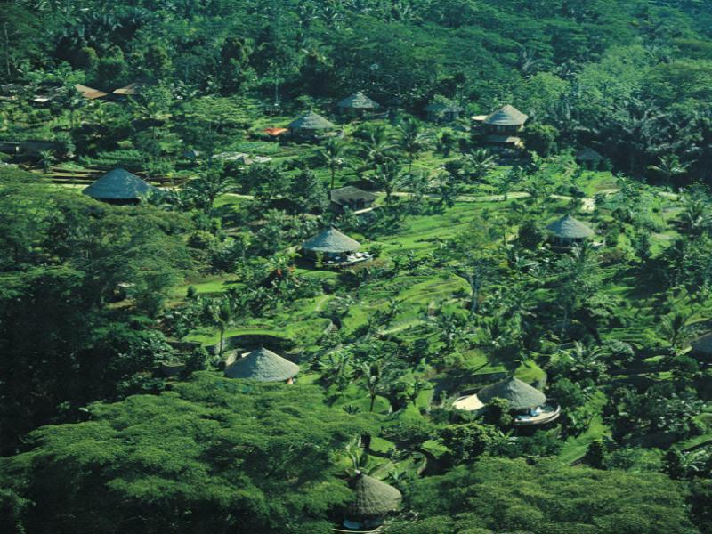 Bagus Jati Health & Well Being Retreat