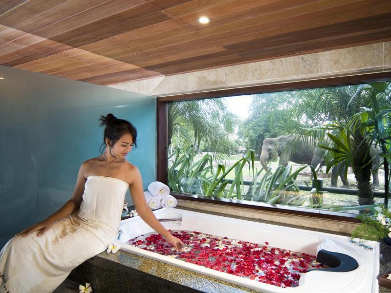 Mason Elephant Park & Lodge