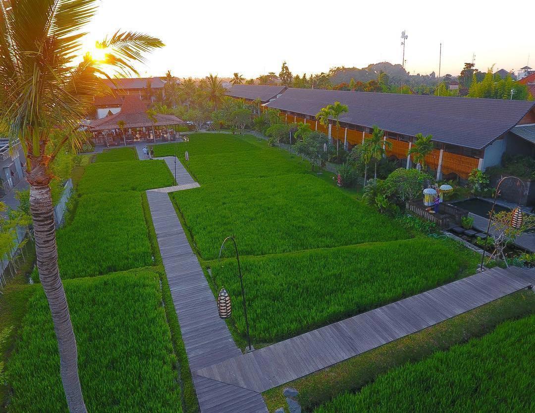 Alaya Resort Ubud