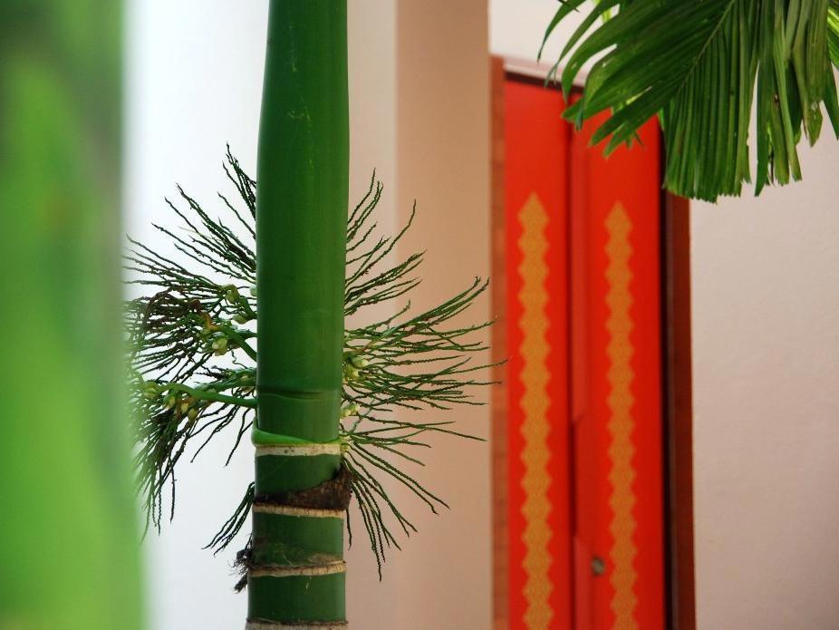 Sukko Cultural Spa and Wellness