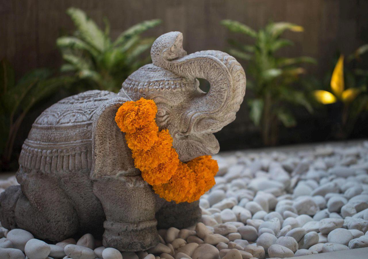 Solo Villas Resort & Retreat