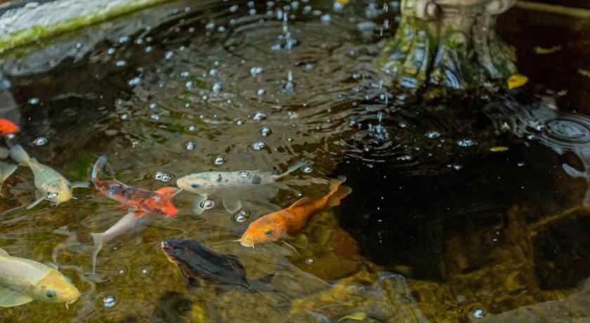 Alacati Eski Ev Hotel